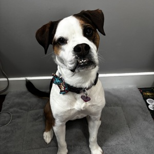 Fundraising Page: Lory LaBombard